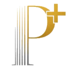 PartnerPlus Logo